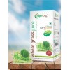wheatgrass juice 500ML.