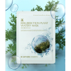 Resurrection Plant Watery Mask ( Jayjun Cosmetic )