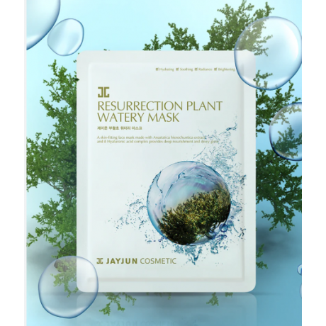 Resurrection Plant Watery Mask ( Jayjun Cosmetic )
