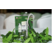 VASUKI FACIAL GEL SERUM